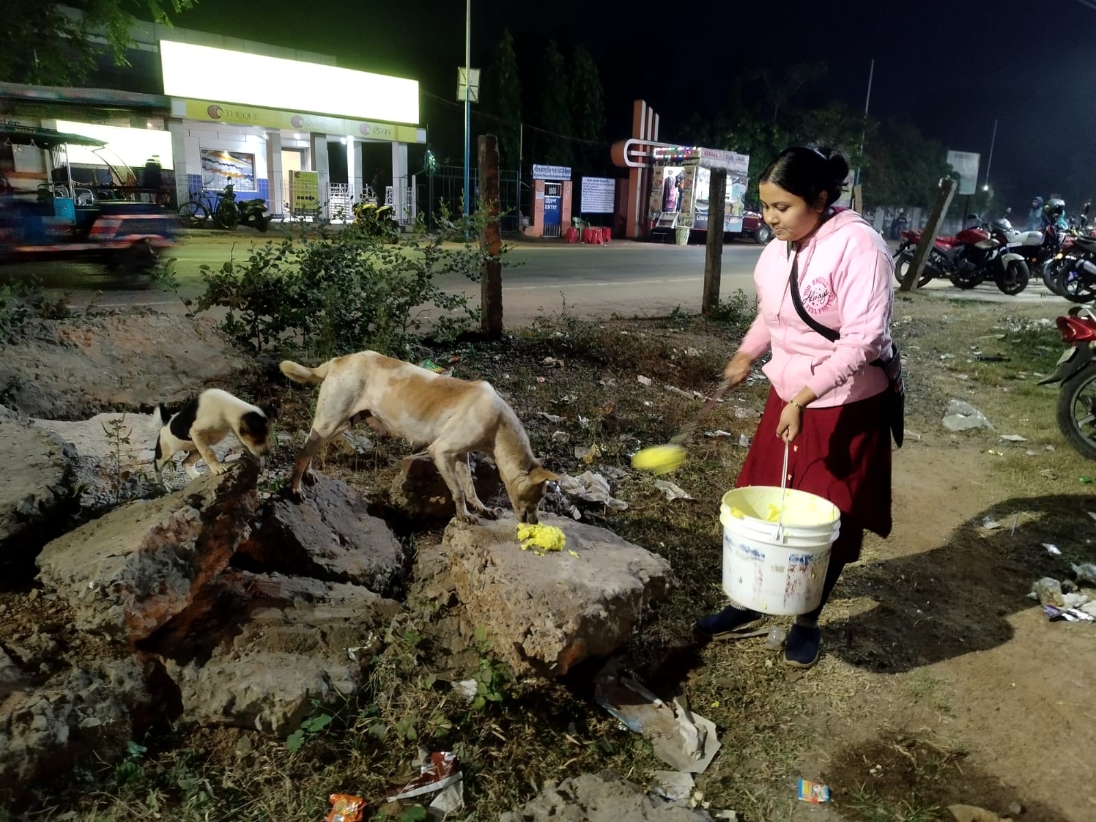 Dog Feeding