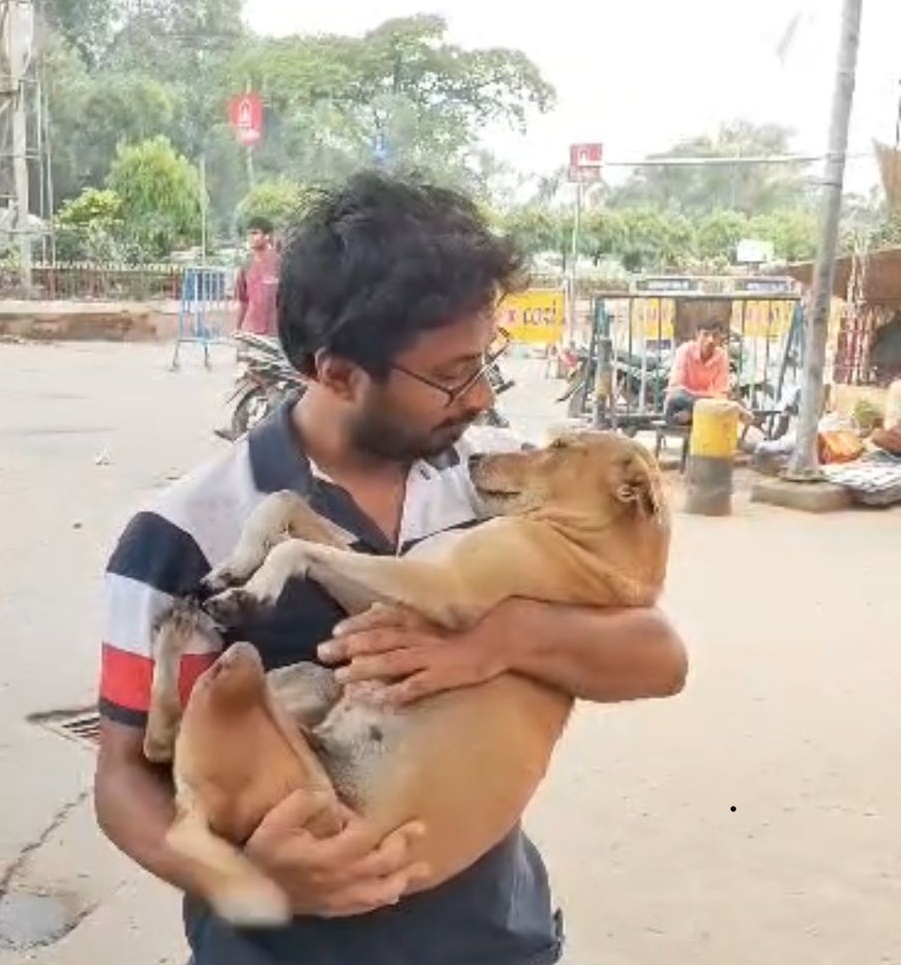 Dog Rescue